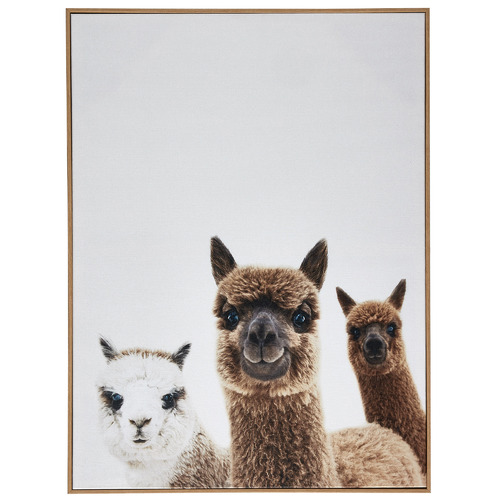 Temple & Webster Alpaca Friends Framed Canvas Wall Art