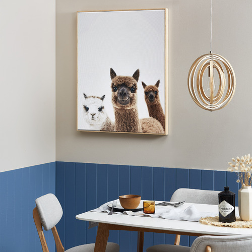 Temple & Webster Alpaca Friends Framed Canvas Wall Art