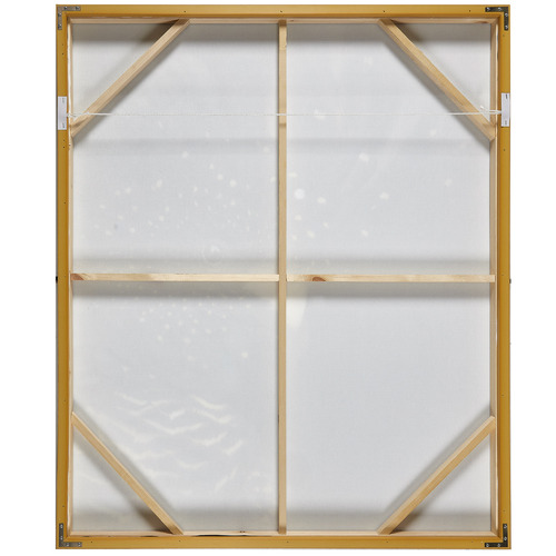 Temple & Webster Curious Cockatoo Framed Canvas Wall Art