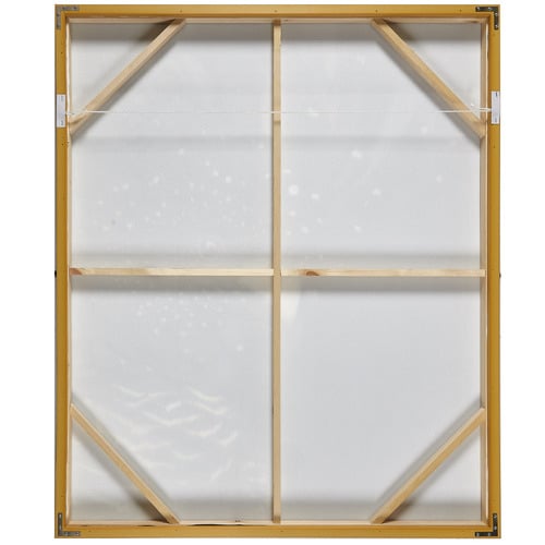 Temple & ster Curious Cockatoo Framed Canvas Wall Art