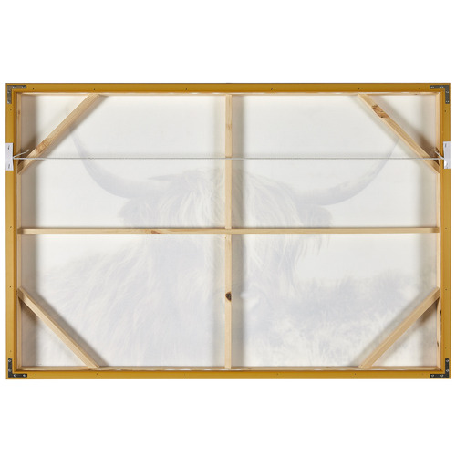 Temple & Webster Shaggy Cow Framed Canvas Wall Art