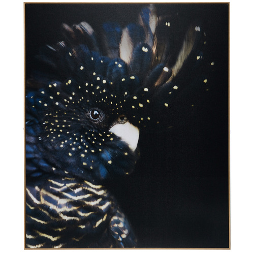Temple & Webster Curious Cockatoo Framed Canvas Wall Art