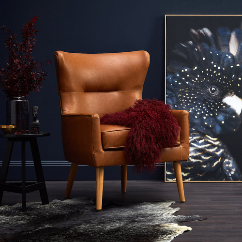 Temple & ster Curious Cockatoo Framed Canvas Wall Art