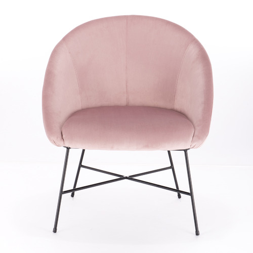 Temple & Webster Abbey Velvet Armchair