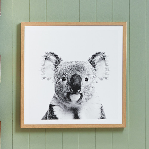 Temple Webster Curious Koala Framed Printed Wall Art Reviews