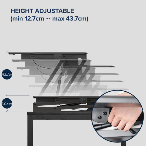 Temple & Webster Extra Large Newton Adjustable Desk Riser & Reviews