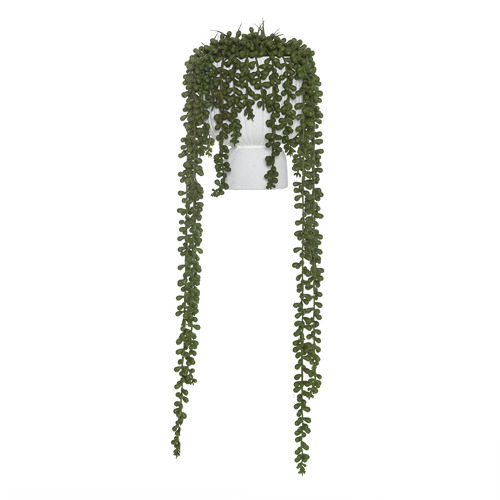 Temple & ster 60cm Potted Faux Hanging Pearl Plant