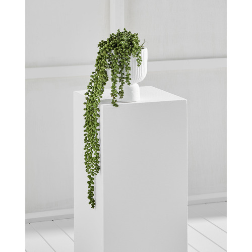 Temple & ster 60cm Potted Faux Hanging Pearl Plant