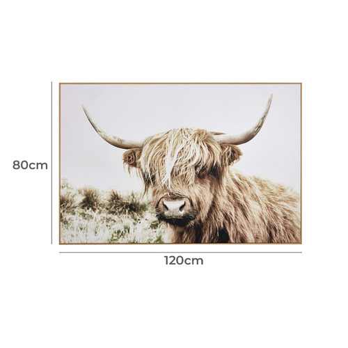 Shaggy Cow Framed Canvas Wall Art