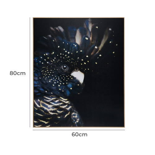 Curious Cockatoo Framed Canvas Wall Art