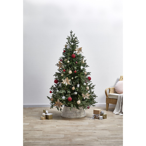 Temple & ster Grand Aspen Fir Christmas Tree