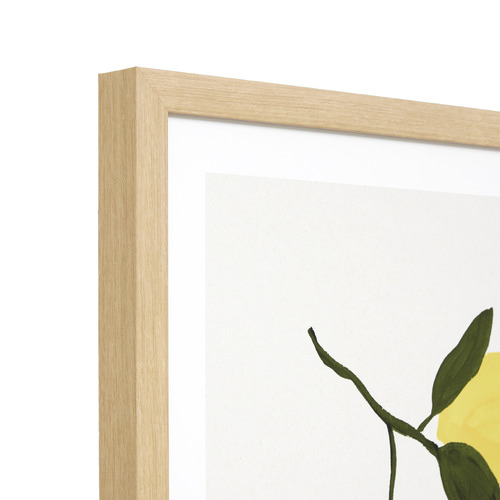 Lemon Branch Framed Paper Print Wall Art Temple & ster