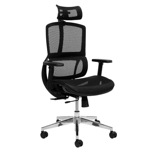 Temple & ster Elite Ergonomic Office Chair with Headrest