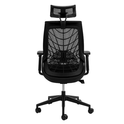 Black Net Ergonomic Office Chair with Lumbar Support