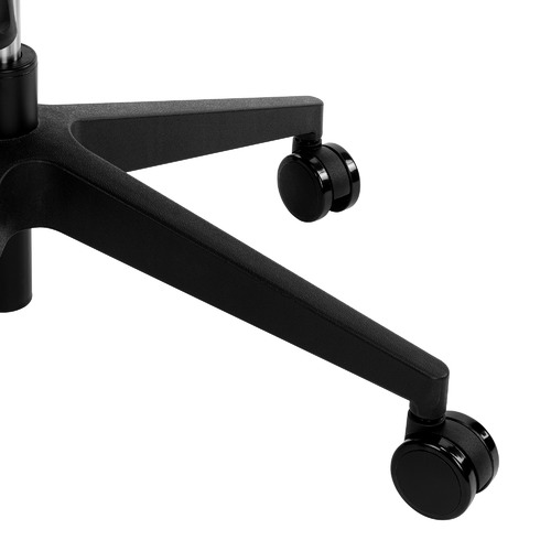 Black Net Ergonomic Office Chair with Lumbar Support