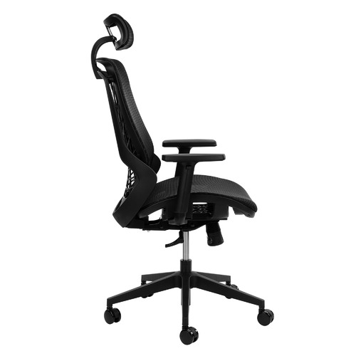 Mesh Ergonomic Office Chair with Armrests
