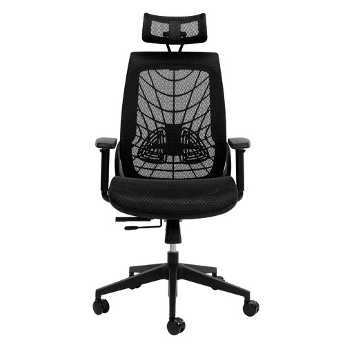 Black Net Ergonomic Office Chair with Lumbar Support
