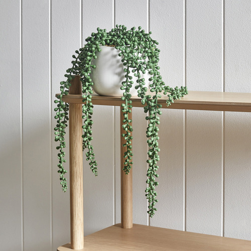 Temple & Webster 38cm Potted Faux String of Pearls Plant