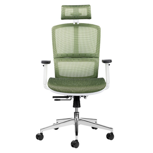 Ergonomic chair temple and webster sales