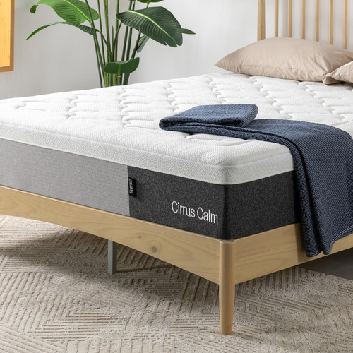 Temple & Webster Premium Cirrus Calm Medium Hybrid Mattress