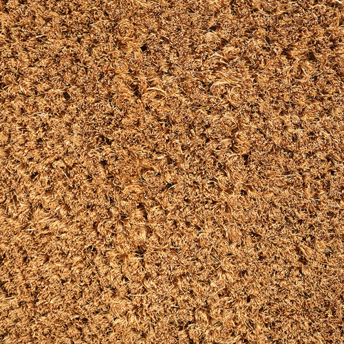 Wavy Edge Coir & Vinyl Doormat