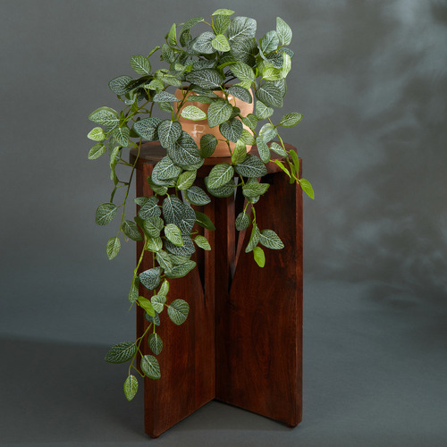 70cm Potted Faux Hanging Fittonia Bush