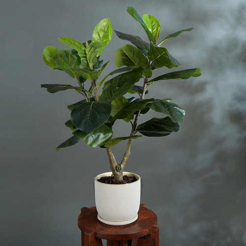 90cm Potted Faux Fiddle Leaf Fig Tree | Temple & Webster