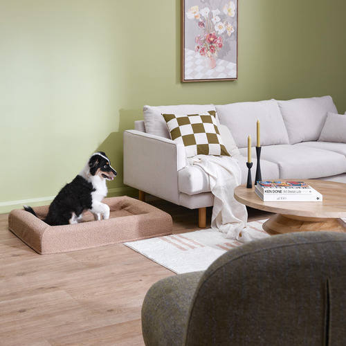 Arlo-Boucle-Memory-Foam-Dog-Bed