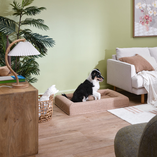 Arlo-Boucle-Memory-Foam-Dog-Bed