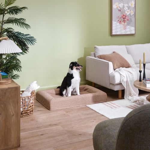 Arlo-Boucle-Memory-Foam-Dog-Bed