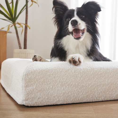 Arlo-Boucle-Memory-Foam-Dog-Bed