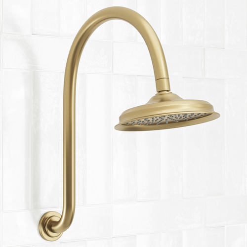 Stanwell Gold Gooseneck Shower Arm & Head Temple & ster