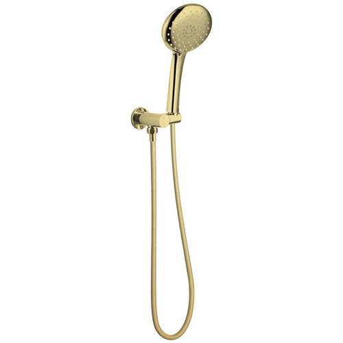 Clovelly Brushed Gold Round Hand-Held Shower