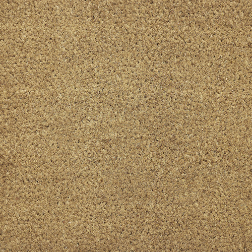 Wavy Edge Coir & Vinyl Doormat
