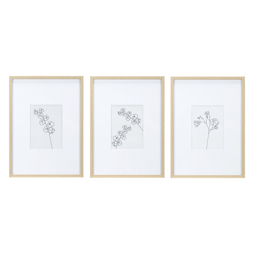 Wide Mat 5 x 7" Frames