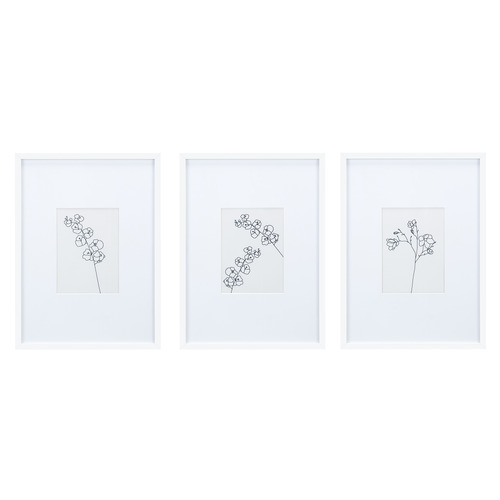 Wide Mat 5 x 7" Frames