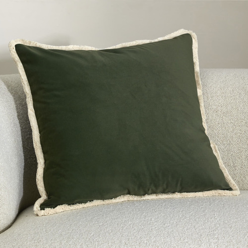 Orlena Velvet Cushion