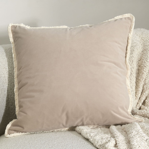 Orlena Velvet Cushion