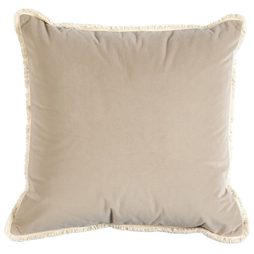 Orlena Velvet Cushion