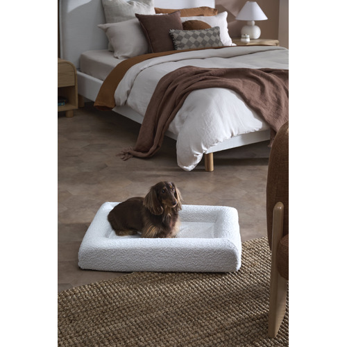 Arlo-Boucle-Memory-Foam-Dog-Bed