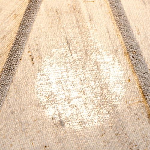 Tamsin Organic Pendant Light
