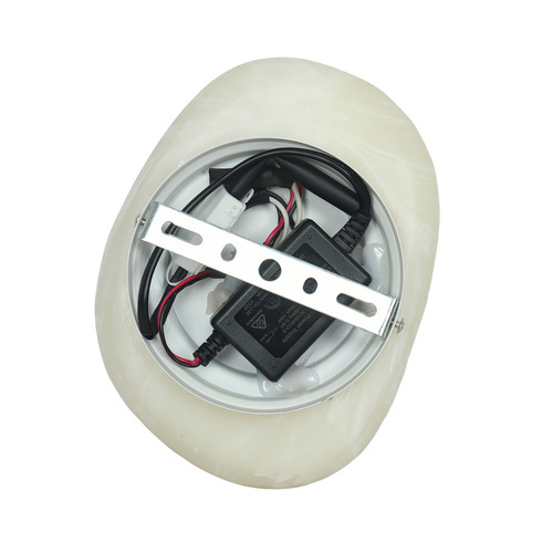 Corbin Alabaster Organic Wall Light