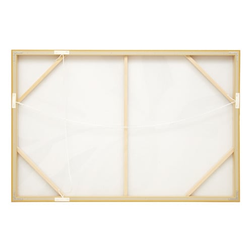 Rosewater Dreams Framed Canvas Wall Art