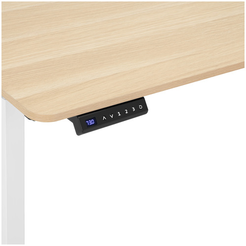Ally Electric Sit & Stand Desk