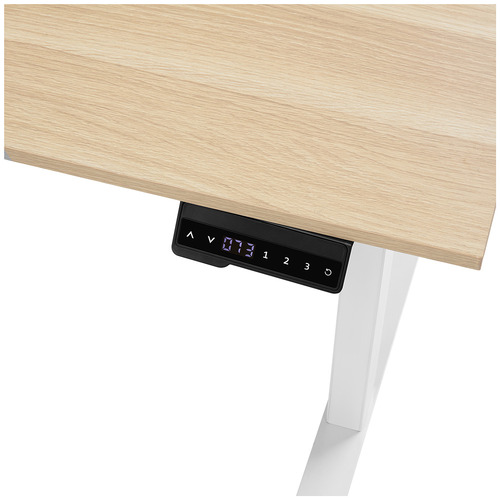 Leo Electric Sit & Stand Desk