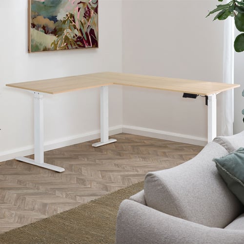 Leo Electric Sit & Stand Desk