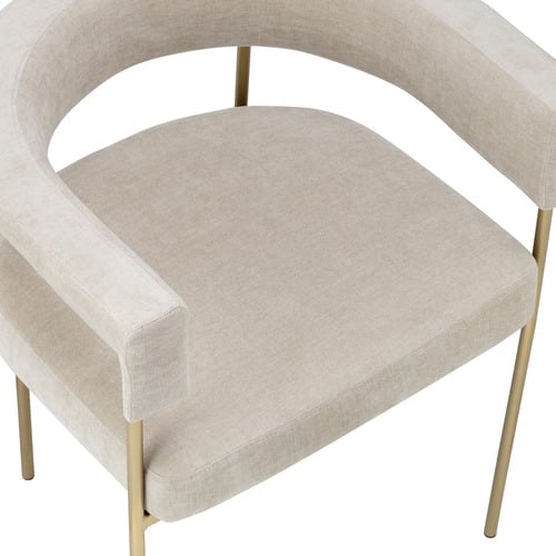 Tamara Chenille Dining Chairs