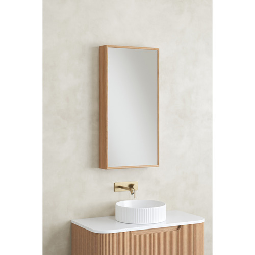 Bronte 450mm Shaving Cabinet