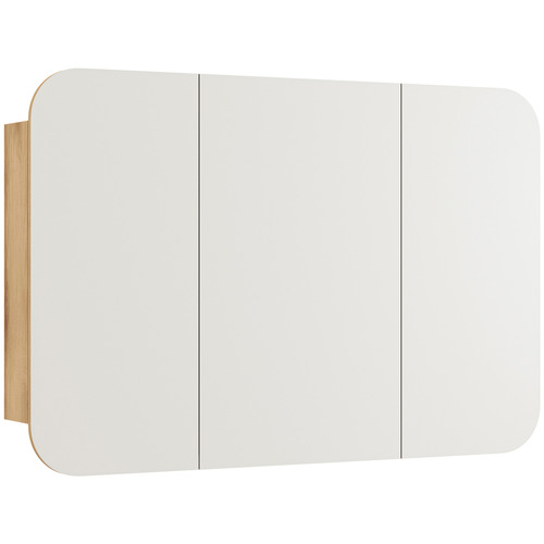 Mecca 1200mm Rectangular Shaving Cabinet