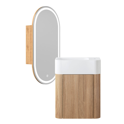 Nomad Small Space 450mm Wall Hung Vanity Package With LED Mirror